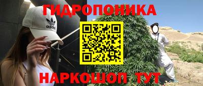 прущие грибы Гулькевичи
