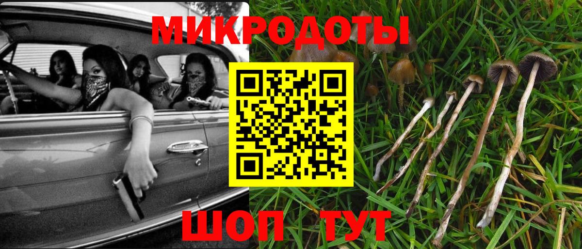Аша  Псилоцибиновые грибы Psilocybe  как найти   Вход с VPN 